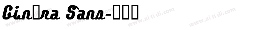Ginóra Sans字体转换